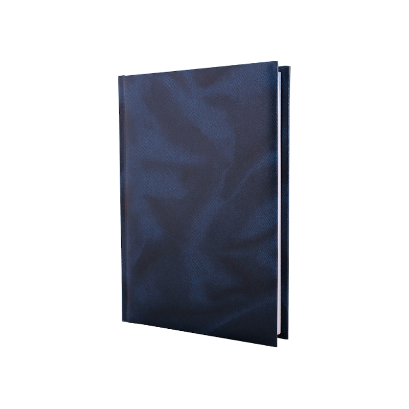 Щоденник ECONOMIX (E22004-02)